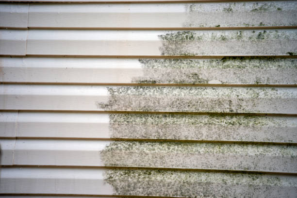Best Yard Waste Removal  in West Melbourne, FL